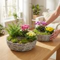 Maceta de sauce blanco, juego de 2, Ø25/30cm, decorativa para plantas de interior. | Floristik24.es