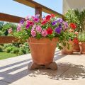 Soportes para macetas, prácticos elevadores, accesorio para macetas de balcón y terraza, 7 cm, 3 unidades | Floristik24.es