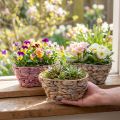 Cesta para plantas cesta de algas marinas macetero de jacinto de agua ovalado 20,5 cm 3 piezas | Floristik24.es