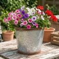 Maceta con asas, cuenco decorativo con acabado oxidado, recipiente de metal plateado Ø26cm H25.5cm | Floristik24.es
