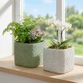 Jardinera cerámica blanco verde malla relieve 17x17cm H15cm 2pcs | Floristik24.es