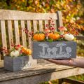 Caja de madera set seta venenosa, decoraciones de otoño, decoraciones de jardín, cajas de plantas L40 / 30cm, juego de 2 | Floristik24.es