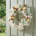 Corona de puerta eucalipto corona de eucalipto artificial blanqueada Ø50cm | Floristik24.es