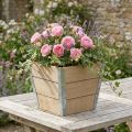 Macetero de madera Shabby Chic Beige 19x19x15,5cm | Floristik24.es