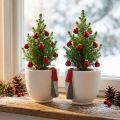 Maceta de Navidad con gnomo, decoración de Adviento, jardinera de hormigón blanco, rojo Ø8cm H12.5cm 2ud | Floristik24.es