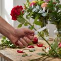 Cuchillo florista Victorinox | Floristik24.es