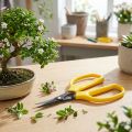 Tijeras para bonsái y pinzas Oasis 15,5 cm | Floristik24.es