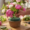 Espuma floral húmeda con cuenco para flores Al10cm Ø16cm 2 piezas | Floristik24.es