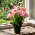 Amapola oriental, flor artificial, amapola en maceta rosa | Floristik24.es