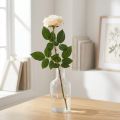Rosa de albaricoque blanco cremoso, flor de seda, rosas artificiales L72cm Ø12cm | Floristik24.es