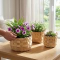 Juego de 3 cestas para plantas naturales, cesta para flores, macetero, cesta decorativa bohemia, tejida, Ø18/23/29cm | Floristik24.es