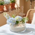 Tapones florales tapones decorativos marítimos madera 7cm 12ud | Floristik24.es