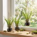 Lirio de los valles en un vaso artificial de floración temprana H22cm 3 piezas | Floristik24.es