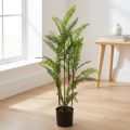 Helecho en maceta verde 80cm | Floristik24.es