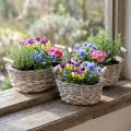 Cesta natural para plantar, cesta con asas, macetero shabby chic blanco lavado L31/27,5/24cm H12/11,5/10cm juego de 3 | Floristik24.es