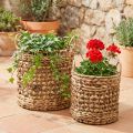 Juego de 2 cestas para plantas de algas marinas y jacinto de agua Ø31/26cm - cesta decorativa, cesta para flores, almacenamiento, ecológica, natural | Floristik24.es