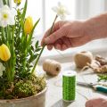 Alambre efecto caldo decoración Ø0,30mm 100g 140m verde manzana alambre floristería alambre artesanía | Floristik24.es