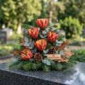 Vaso Repens Rojo 25uds | Floristik24.es