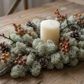 Musgo decorativo, musgo natural gris para manualidades, seco y teñido, 500 g | Floristik24.es