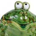 Floristik24 Pareja de ranas, decoración de cerámica, rana decorativa, ranas sentadas