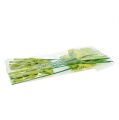 Floristik24 Niña rana con flor verde 11.5cm 15pcs