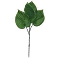 Floristik24 Philodendron árbol artificial amigo plantas artificiales verde 39cm