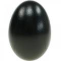 Floristik24 Huevos de ganso Huevos soplados negros Decoración de Pascua 12 piezas