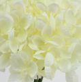 Floristik24 Ramo de hortensias flores artificiales blancas L27cm