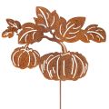 Floristik24 Estaca de jardín con motivo de calabaza, decoración metálica, acabado oxidado, 100 cm
