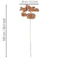 Estaca de jardín con motivo de calabaza, decoración metálica, acabado oxidado, 100 cm | Floristik24.es