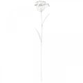 Floristik24 Flor de tapón de jardín, decoración de jardín, tapón de planta de metal shabby chic blanco, plateado L52cm Ø10cm 2 piezas