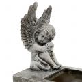 Floristik24 Jardinera con angel gris 17cm