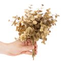 Planta artificial de eucalipto, rama decorativa color dorado para decoración de mesa, 24 cm. | Floristik24.es
