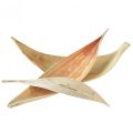 Floristik24 Cáscaras de coco hojas de coco blanqueadas 22-42cm 25ud