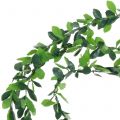 Floristik24 Planta guirnalda verde 7.5m