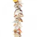 Floristik24 Percha decorativa con conchas, guirnalda marítima, conchas y caracoles 85cm
