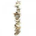 Floristik24 Guirnalda de conchas, decoración de verano marítimo, cadena de conchas naturales colores naturales L35cm
