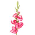 Floristik24 Gladiolosa artificial con flores decorativas, 88 cm