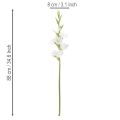Gladiolo artificial de tallo largo para jarrones, 88 cm. | Floristik24.es