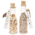 Floristik24 Decoración de botella de vidrio con conchas y colgante, decoración de mesa marítima, 17 cm, 2 piezas