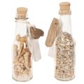 Decoración de botella de vidrio con conchas y colgante, decoración de mesa marítima, 17 cm, 2 piezas | Floristik24.es