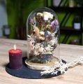 Floristik24 Decoración de campana de cristal placa de madera decoración de mesa mini campana de queso H13cm