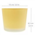 Floristik24 Macetero de cristal macetero amarillo bañera de cristal Ø10cm H8.5cm