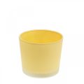 Floristik24 Macetero de cristal macetero amarillo bañera de cristal Ø10cm H8.5cm