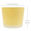 Floristik24 Macetero de cristal amarillo bañera decorativa de cristal Ø11,5cm H11cm