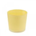 Floristik24 Macetero de cristal amarillo bañera decorativa de cristal Ø11,5cm H11cm