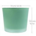 Floristik24 Macetero de cristal macetero verde bañera de cristal Ø14,5cm H12,5cm