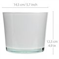 Floristik24 Macetero de cristal macetero blanco bañera de cristal Ø14,5cm H12,5cm