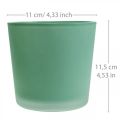 Floristik24 Macetero de cristal macetero verde bañera de cristal Ø11,5cm H11cm