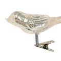 Floristik24 Pájaro de cristal en clip crema 7.5cm 3pcs